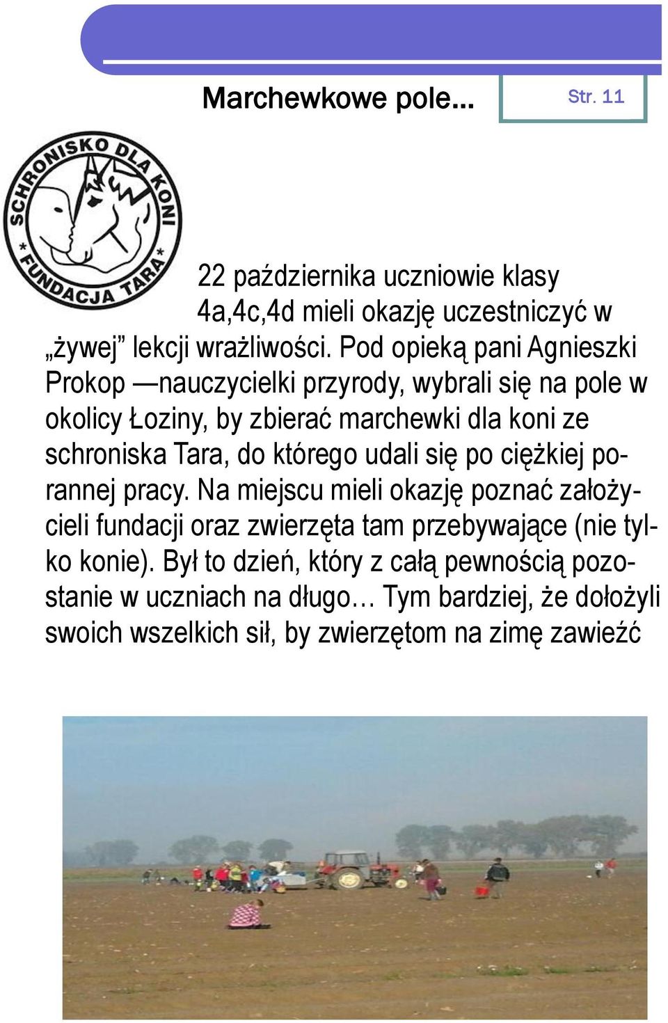 Tara, do którego udali się po ciężkiej porannej pracy.