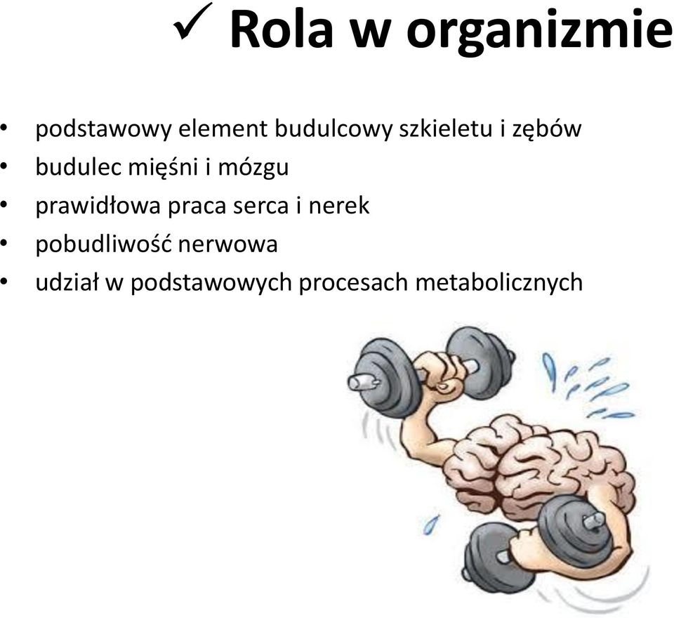 prawidłowa praca serca i nerek pobudliwość