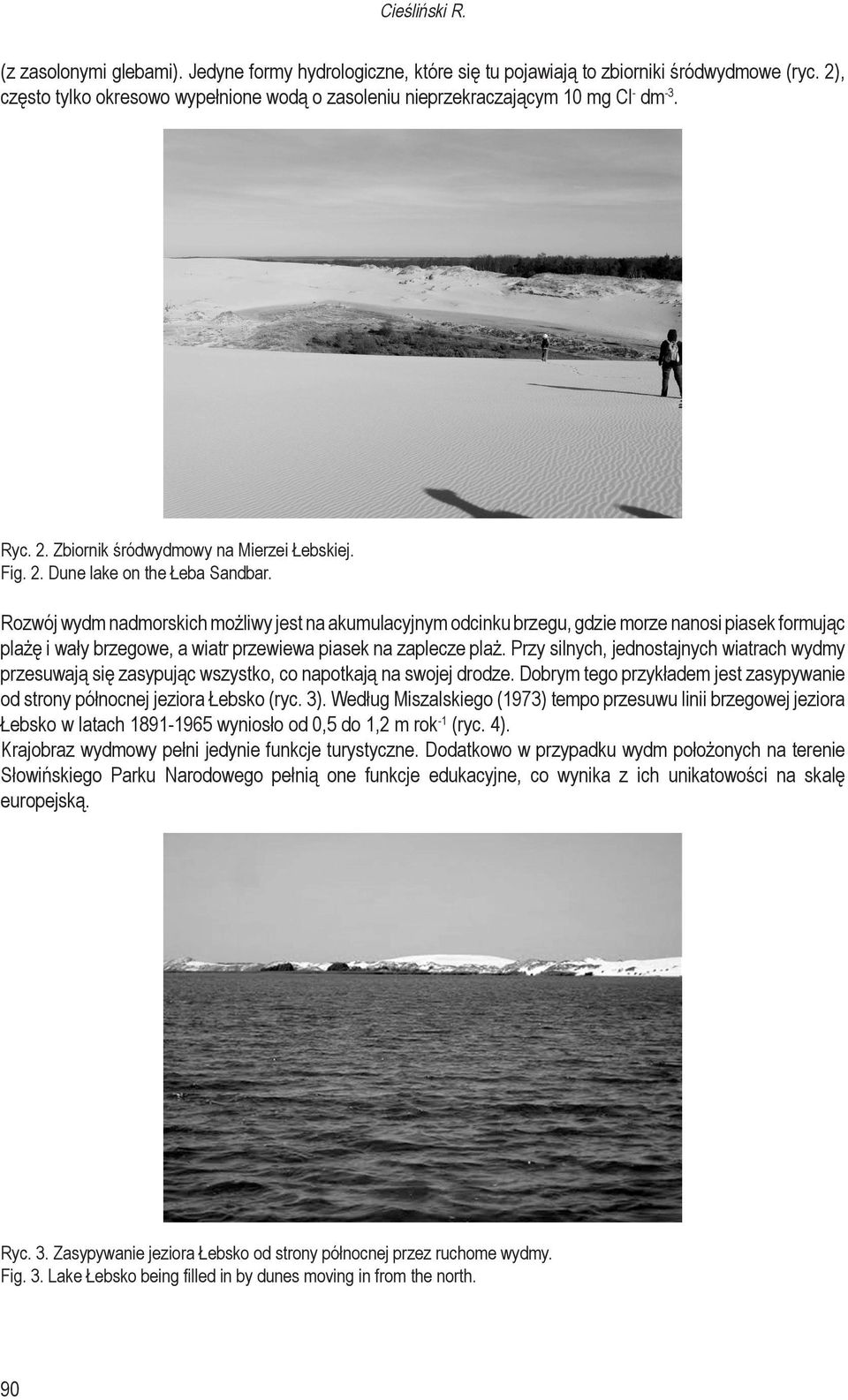 Rozwój wydm nadmorskich możliwy jest na akumulacyjnym odcinku brzegu, gdzie morze nanosi piasek formując plażę i wały brzegowe, a wiatr przewiewa piasek na zaplecze plaż.