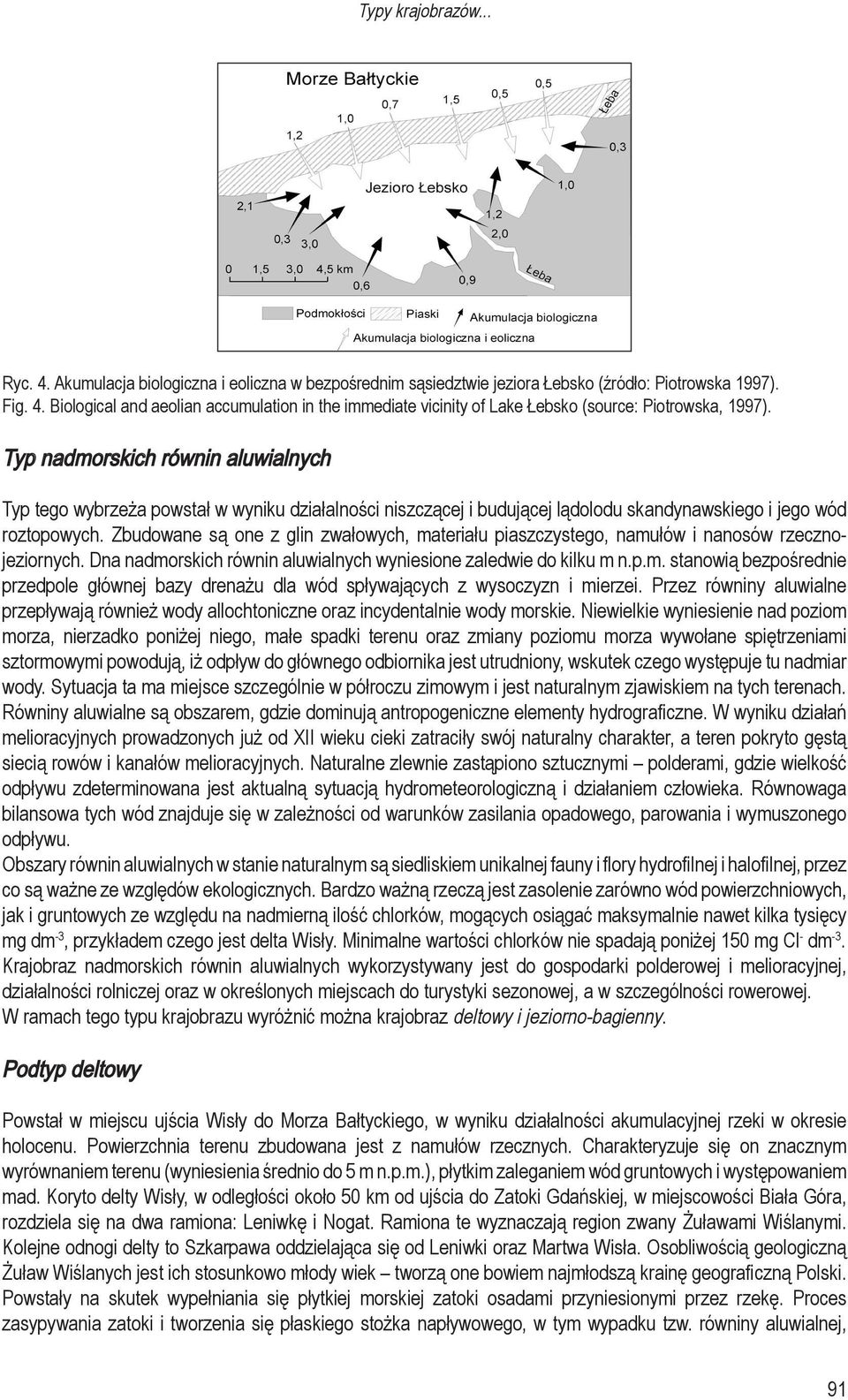 Zbudowane są one z glin zwałowych, materiału piaszczystego, namułów i nanosów rzecznojeziornych. Dna nadmorskich równin aluwialnych wyniesione zaledwie do kilku m n.p.m. stanowią bezpośrednie przedpole głównej bazy drenażu dla wód spływających z wysoczyzn i mierzei.