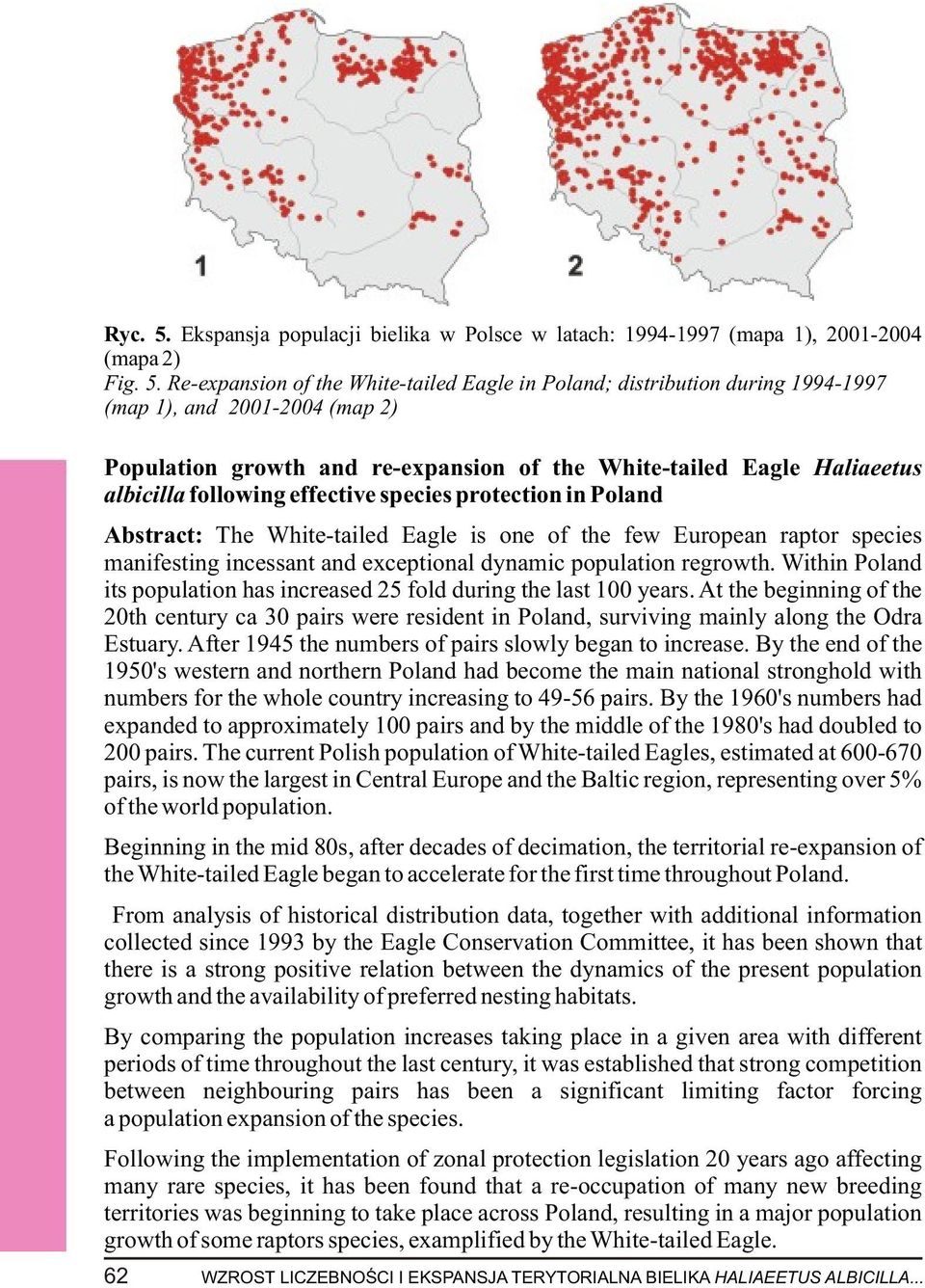Re-expansion of the White-tailed Eagle in Poland; distribution during 1994-1997 (map 1), and 2001-2004 (map 2) Population growth and re-expansion of the White-tailed Eagle Haliaeetus albicilla