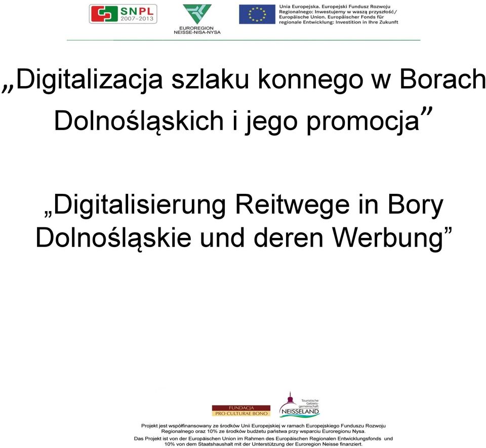 promocja Digitalisierung