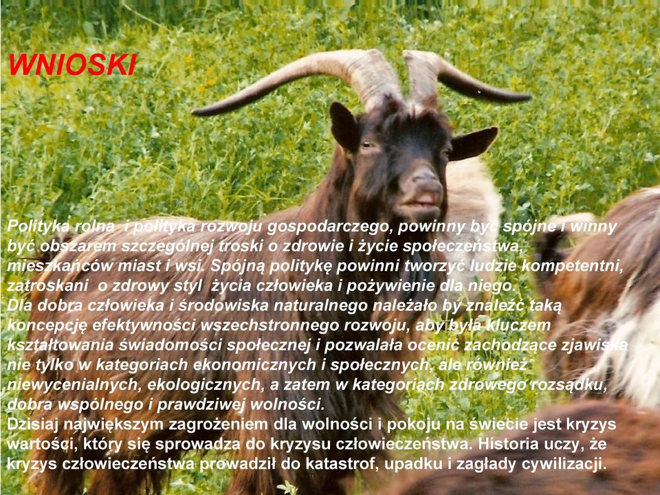 Dla dobra człowieka i środowiska naturalnego należało by znaleźć taką koncepcję efektywności wszechstronnego rozwoju, aby była kluczem kształtowania świadomości społecznej i pozwalała ocenić