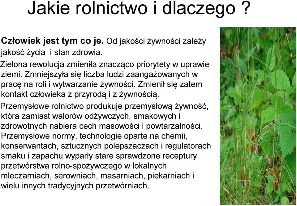 Przemysłowe rolnictwo produkuje przemysłową żywność, która zamiast walorów odżywczych, smakowych i zdrowotnych nabiera cech masowości i powtarzalności.