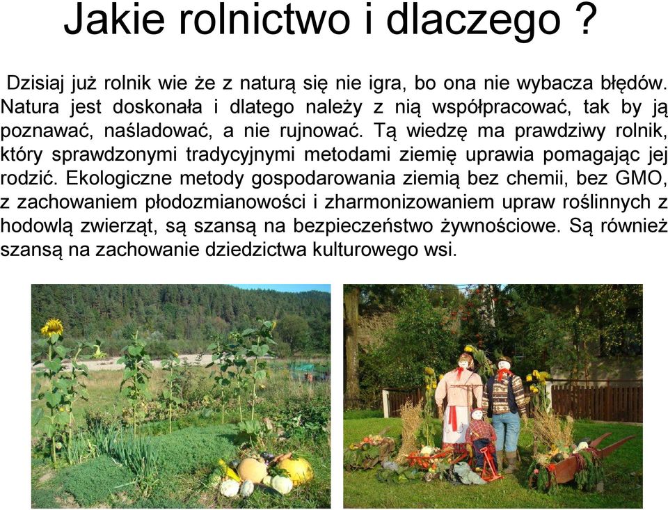 Tą wiedzę ma prawdziwy rolnik, który sprawdzonymi tradycyjnymi metodami ziemię uprawia pomagając jej rodzić.