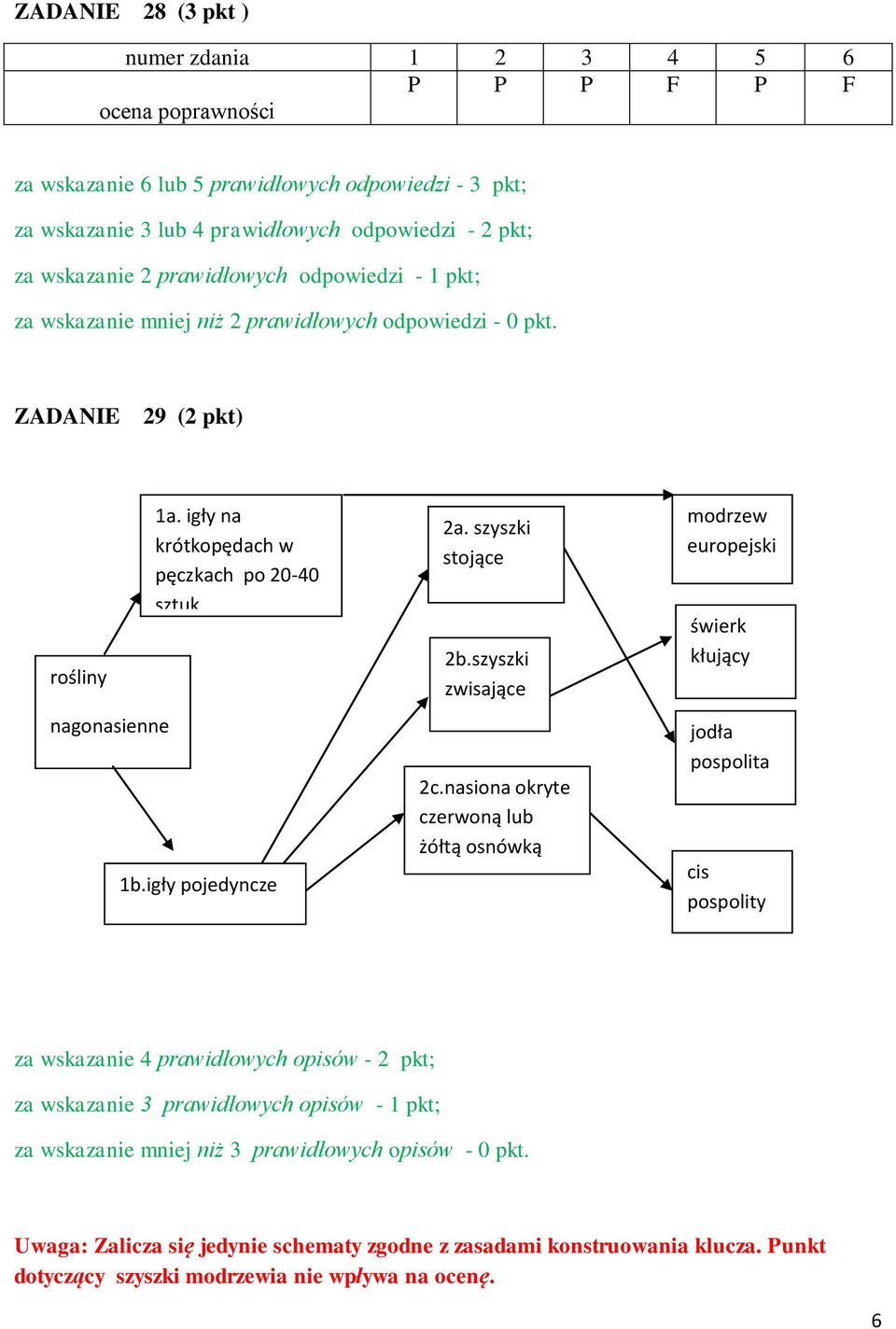 nasiona okryte czerwoną lub żółtą osnówką modrzew europejski świerk kłujący jodła pospolita cis pospolity za wskazanie 4 prawidłowych opisów - 2 pkt; za wskazanie 3 prawidłowych opisów -