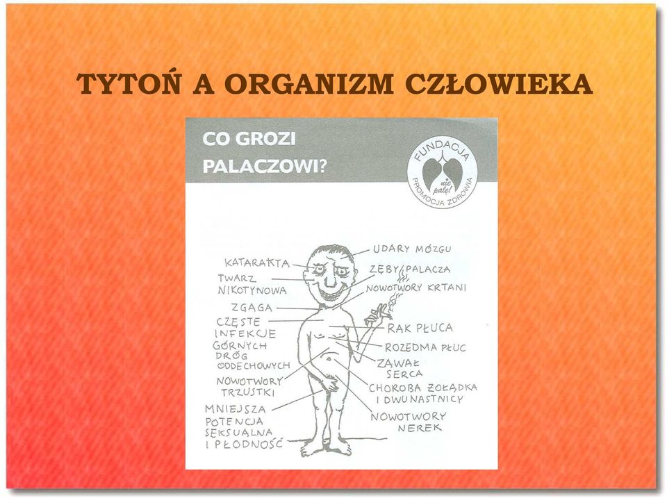 CZŁOWIEKA