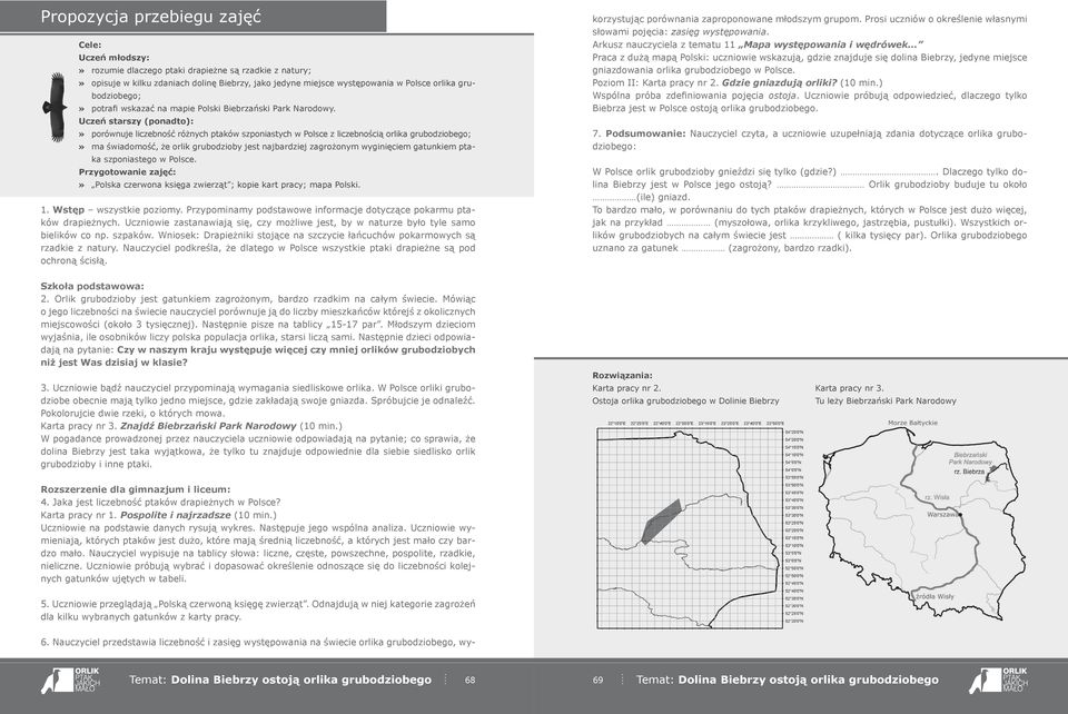 Uczeń starszy (ponadto):» porównuje liczebność różnych ptaków szponiastych w Polsce z liczebnością orlika grubodziobego;» ma świadomość, że orlik grubodzioby jest najbardziej zagrożonym wyginięciem