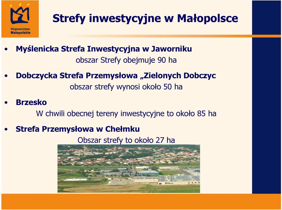 obszar strefy wynosi około 50 ha Brzesko W chwili obecnej tereny