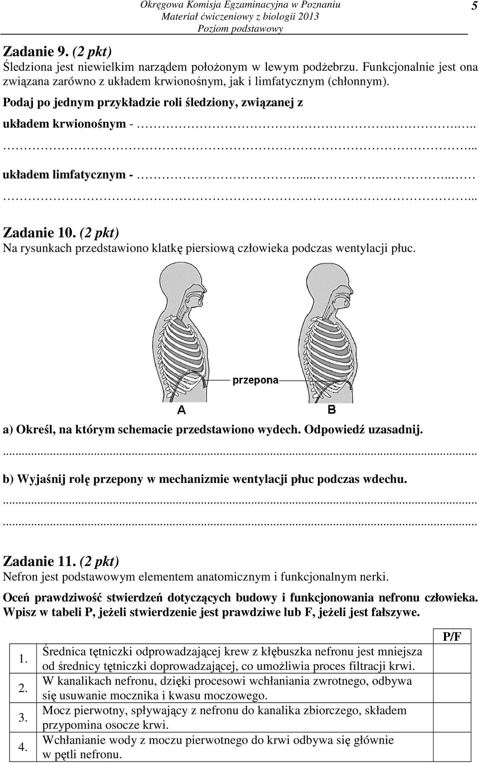 ......... Zadanie 10. (2 pkt) Na rysunkach przedstawiono klatkę piersiową człowieka podczas wentylacji płuc. 5 a) Określ, na którym schemacie przedstawiono wydech. Odpowiedź uzasadnij.
