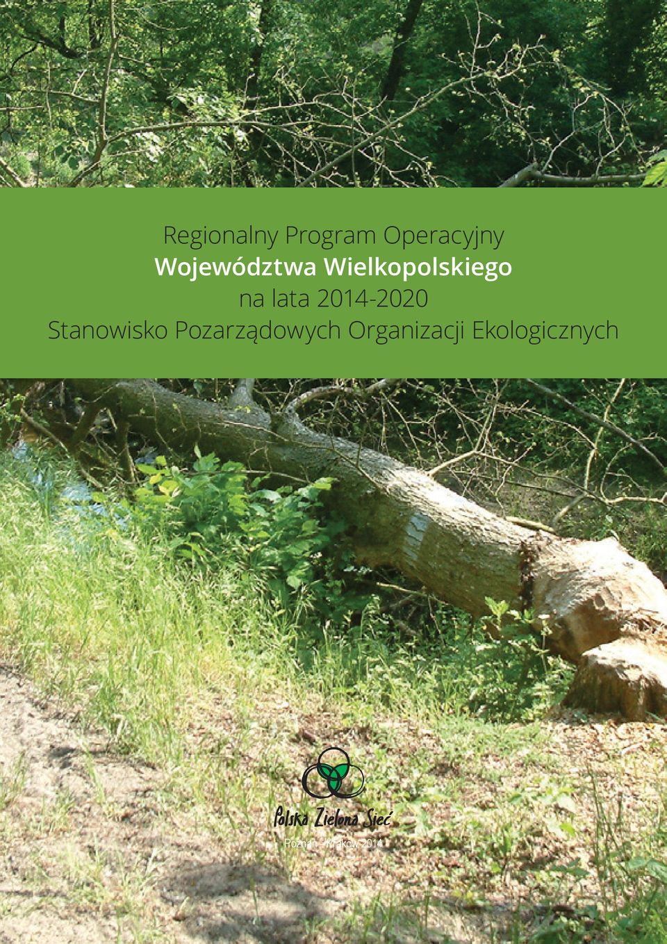 2014-2020 Stanowisko Pozarządowych