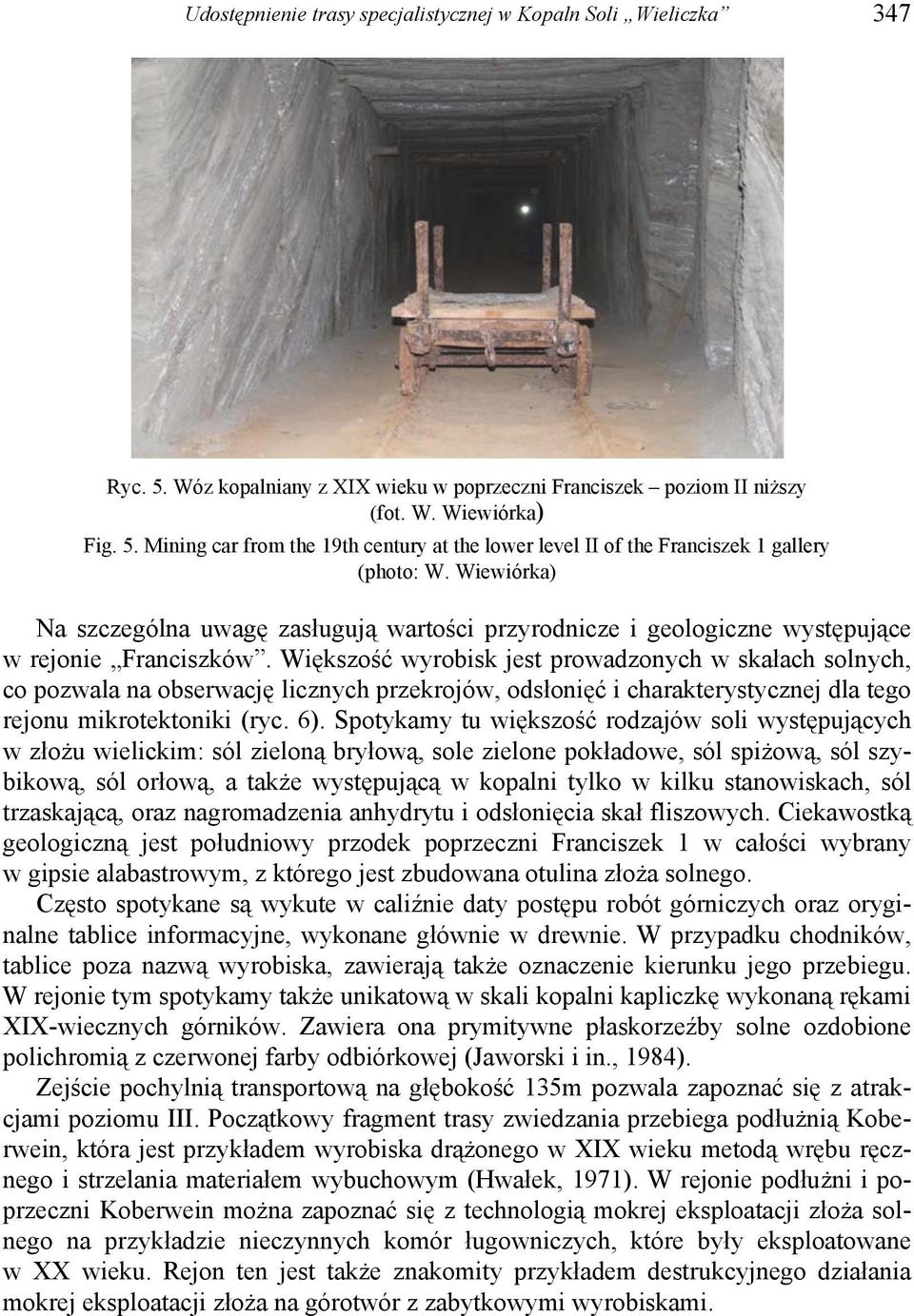 Większość wyrobisk jest prowadzonych w skałach solnych, co pozwala na obserwację licznych przekrojów, odsłonięć i charakterystycznej dla tego rejonu mikrotektoniki (ryc. 6).