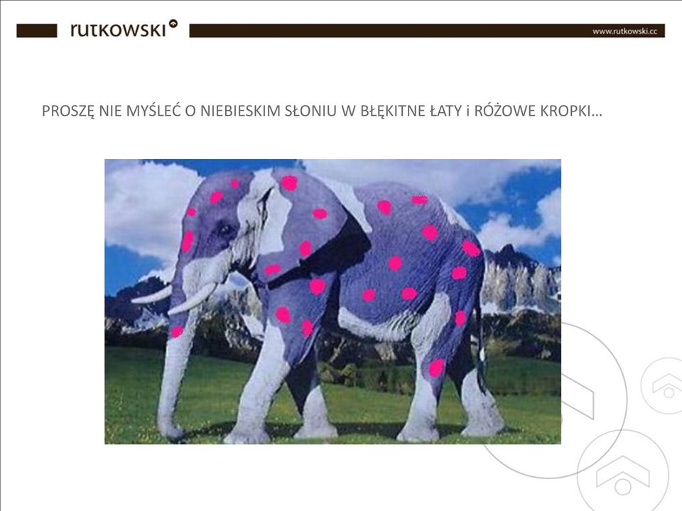 SŁONIU W BŁĘKITNE