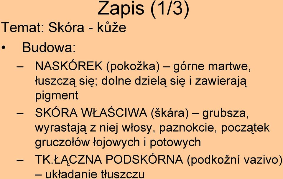 WŁAŚCIWA (škára) grubsza, wyrastają z niej włosy, paznokcie, początek