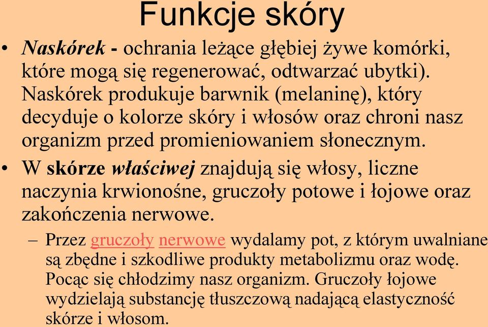 W skórze właściwej znajdują się włosy, liczne naczynia krwionośne, gruczoły potowe i łojowe oraz zakończenia nerwowe.