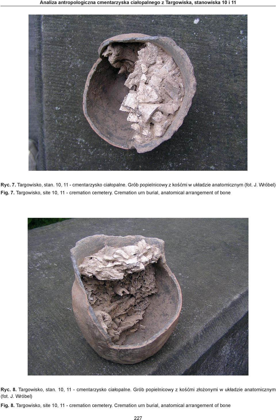 Cremation urn burial, anatomical arrangement of bone Ryc. 8. Targowisko, stan. 10, 11 - cmentarzysko ciałopalne.