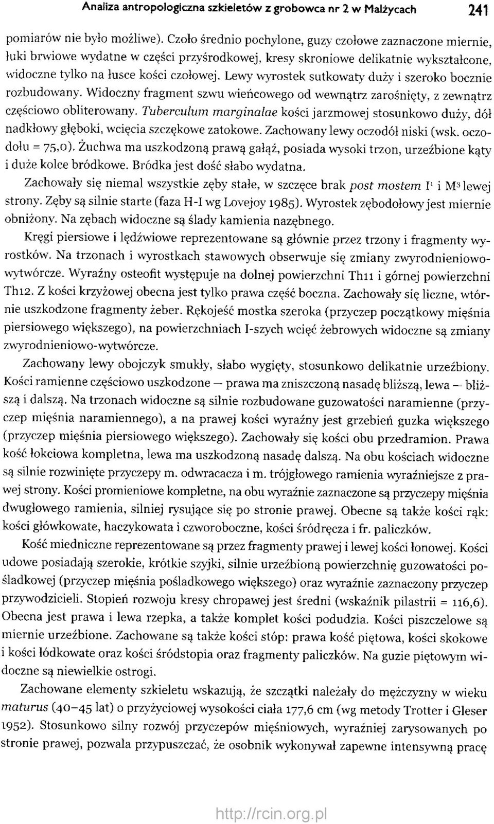 Lewy wyrostek sutkowaty duży i szeroko bocznie rozbudowany. Widoczny fragment szwu wieńcowego od wewnątrz zarośnięty, z zewnątrz częściowo obliterowany.