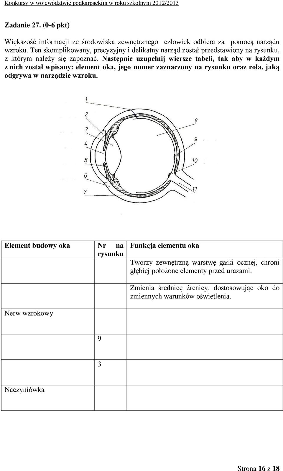 Następnie uzupełnij wiersze tabeli, tak aby w każdym z nich został wpisany: element oka, jego numer zaznaczony na rysunku oraz rola, jaką odgrywa w narządzie