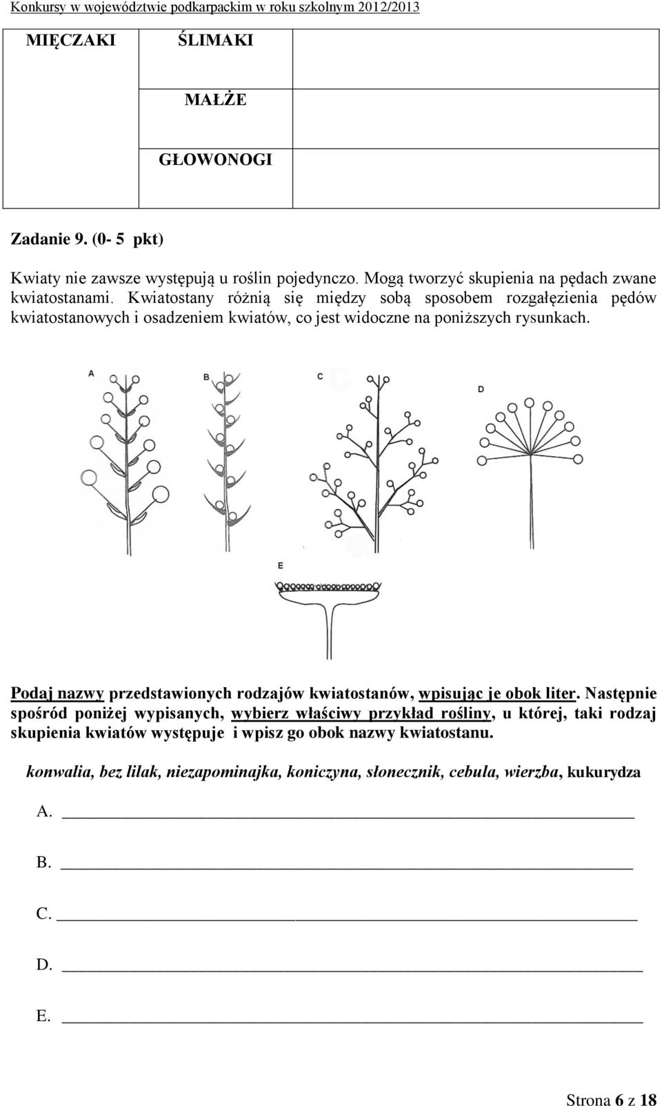 Podaj nazwy przedstawionych rodzajów kwiatostanów, wpisując je obok liter.