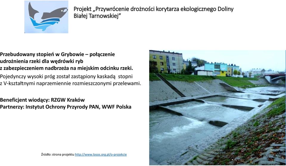 Pojedynczy wysoki próg został zastąpiony kaskadą stopni z V-kształtnymi naprzemiennie rozmieszczonymi przelewami.