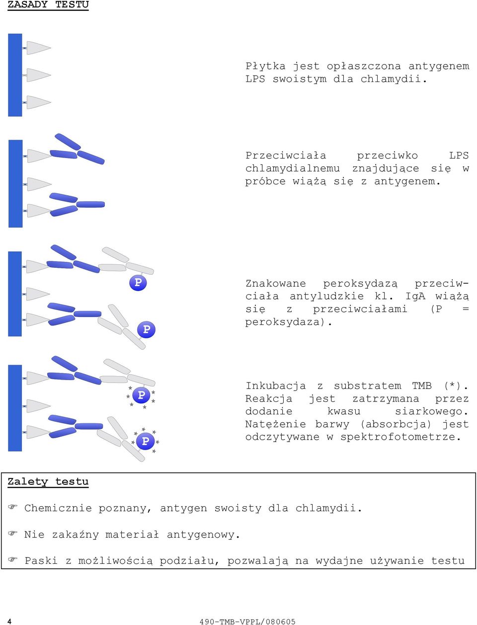 IgA wiążą się z przeciwciałami (P = peroksydaza). Inkubacja z substratem TMB (*). Reakcja jest zatrzymana przez dodanie kwasu siarkowego.