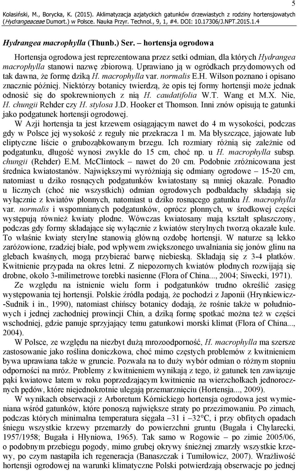 Uprawiano ją w ogródkach przydomowych od tak dawna, że formę dziką H. macrophylla var. normalis E.H. Wilson poznano i opisano znacznie później.