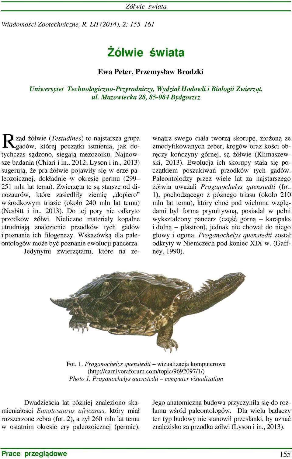 , 2012; Lyson i in., 2013) sugerują, że pra-żółwie pojawiły się w erze paleozoicznej, dokładnie w okresie permu (299 251 mln lat temu).