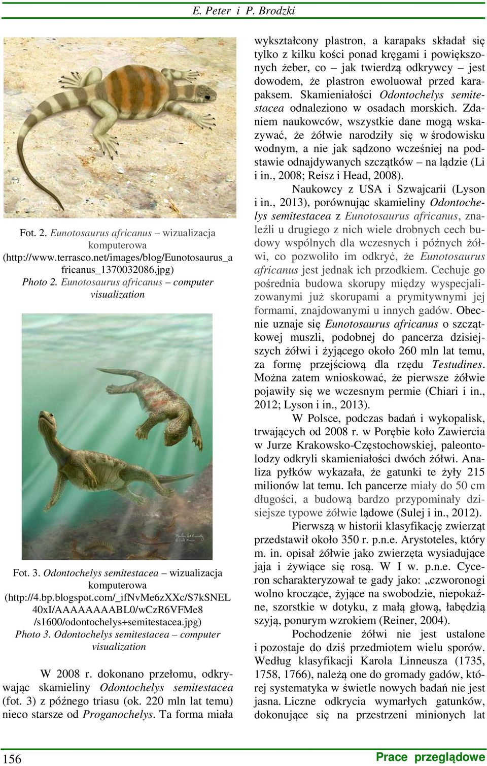 com/_ifnvme6zxxc/s7ksnel 40xI/AAAAAAAABL0/wCzR6VFMe8 /s1600/odontochelys+semitestacea.jpg) Photo 3. Odontochelys semitestacea computer visualization W 2008 r.