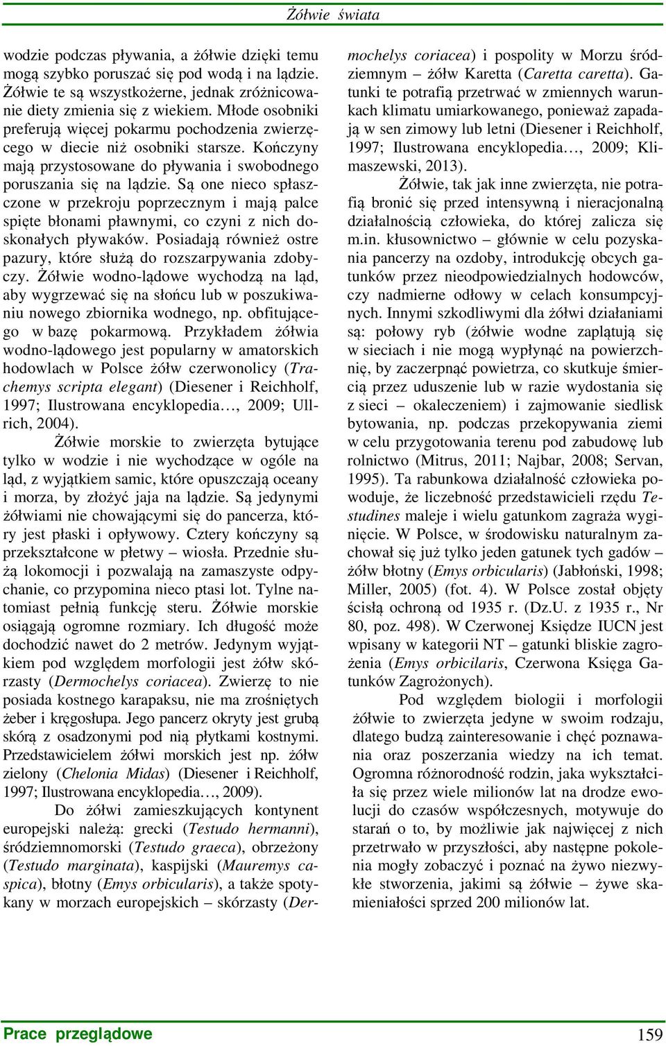 Są one nieco spłaszczone w przekroju poprzecznym i mają palce spięte błonami pławnymi, co czyni z nich doskonałych pływaków. Posiadają również ostre pazury, które służą do rozszarpywania zdobyczy.