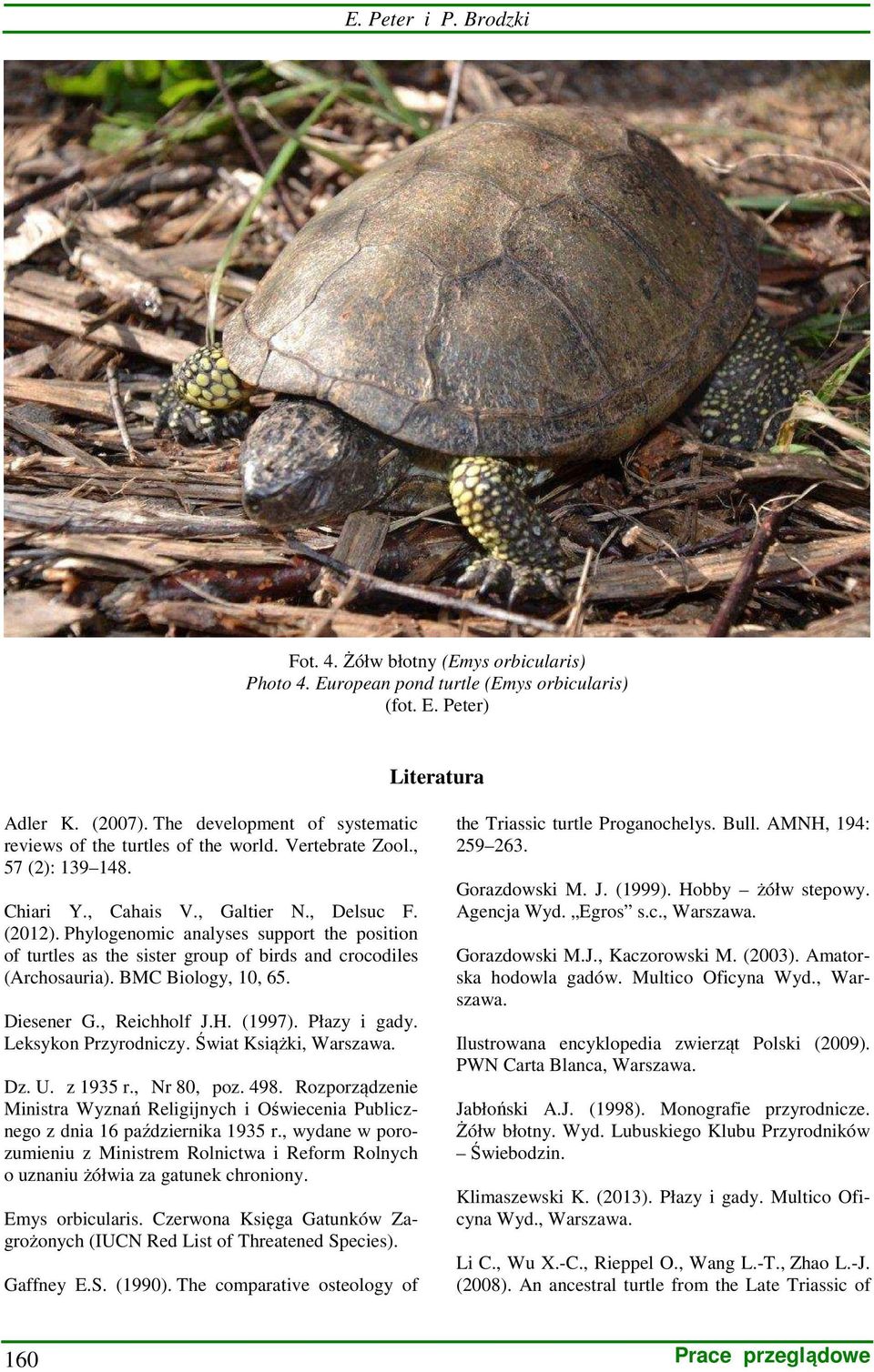 Phylogenomic analyses support the position of turtles as the sister group of birds and crocodiles (Archosauria). BMC Biology, 10, 65. Diesener G., Reichholf J.H. (1997). Płazy i gady.