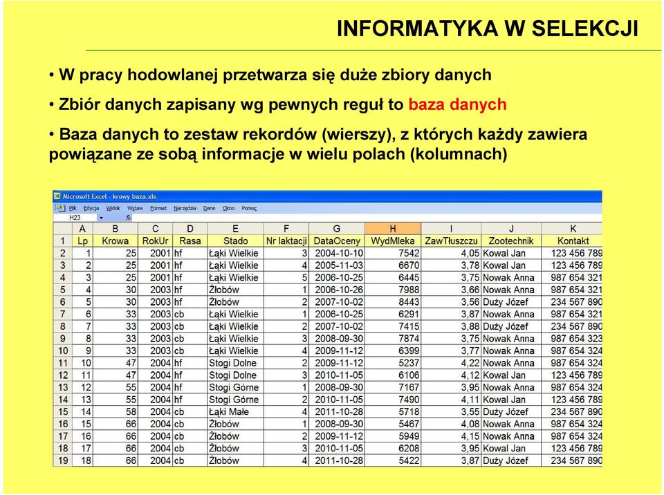 Baza danych to zestaw rekordów (wierszy), z których