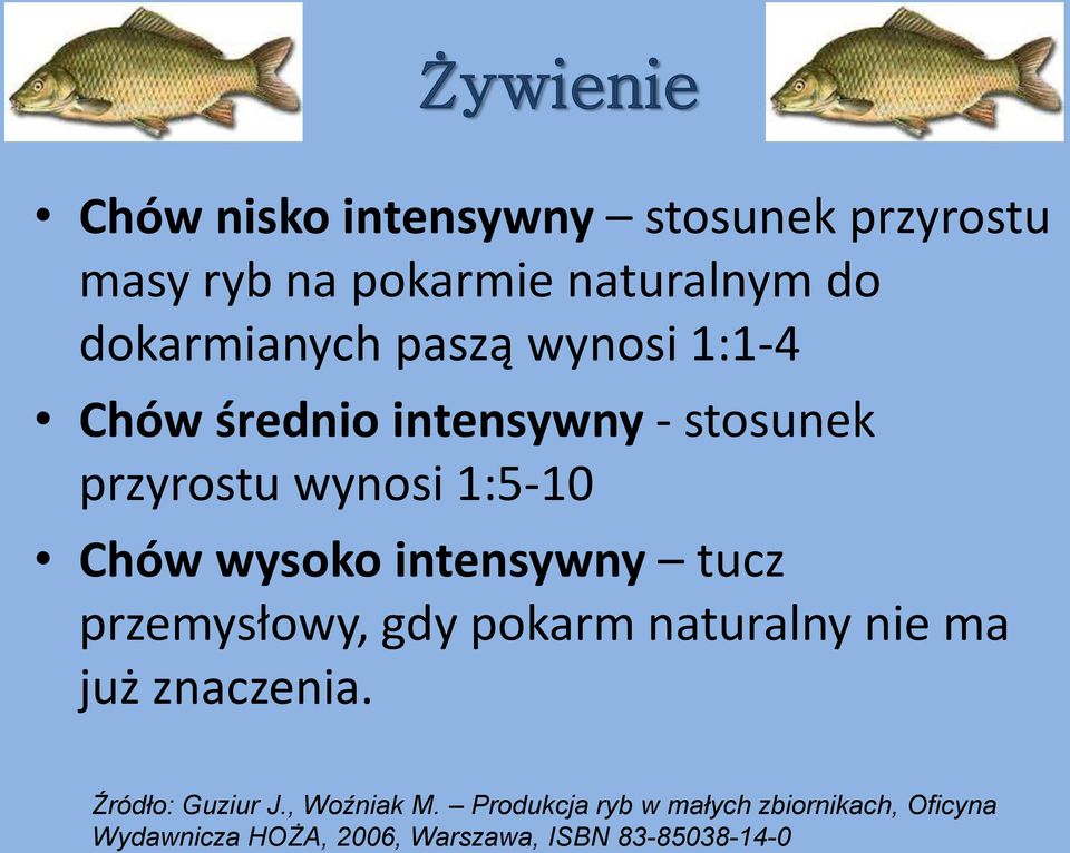 wysoko intensywny tucz przemysłowy, gdy pokarm naturalny nie ma już znaczenia. Źródło: Guziur J.