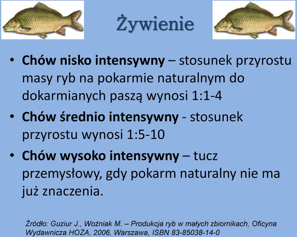 wysoko intensywny tucz przemysłowy, gdy pokarm naturalny nie ma już znaczenia. Źródło: Guziur J.