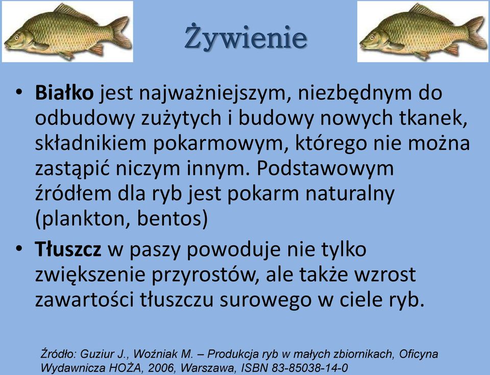 Podstawowym źródłem dla ryb jest pokarm naturalny (plankton, bentos) Tłuszcz w paszy powoduje nie tylko zwiększenie