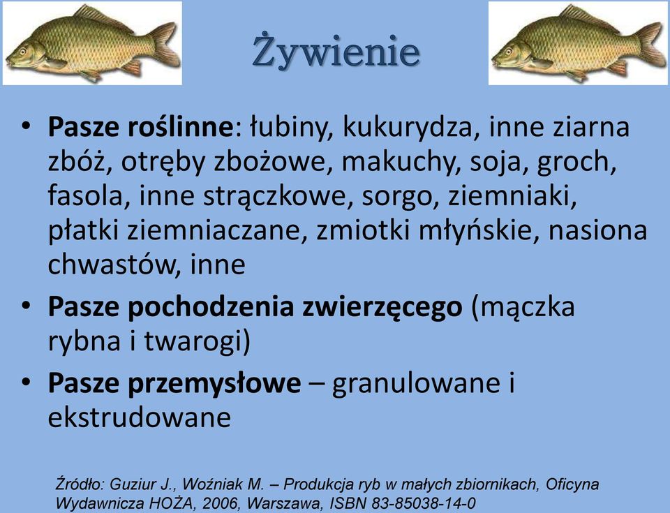 pochodzenia zwierzęcego (mączka rybna i twarogi) Pasze przemysłowe granulowane i ekstrudowane Źródło: