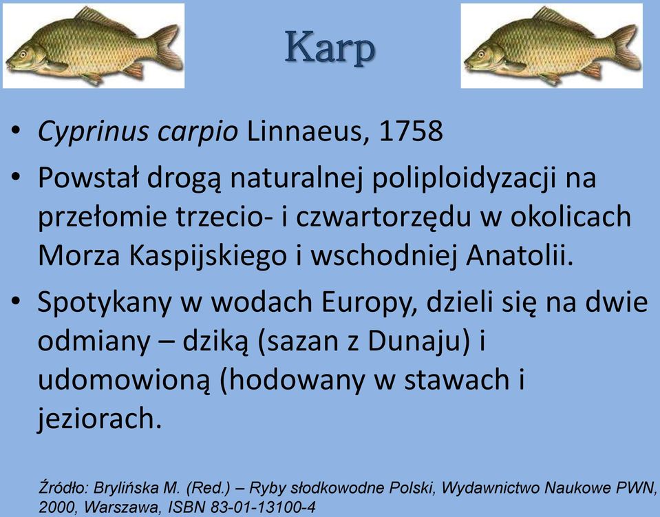Spotykany w wodach Europy, dzieli się na dwie odmiany dziką (sazan z Dunaju) i udomowioną (hodowany