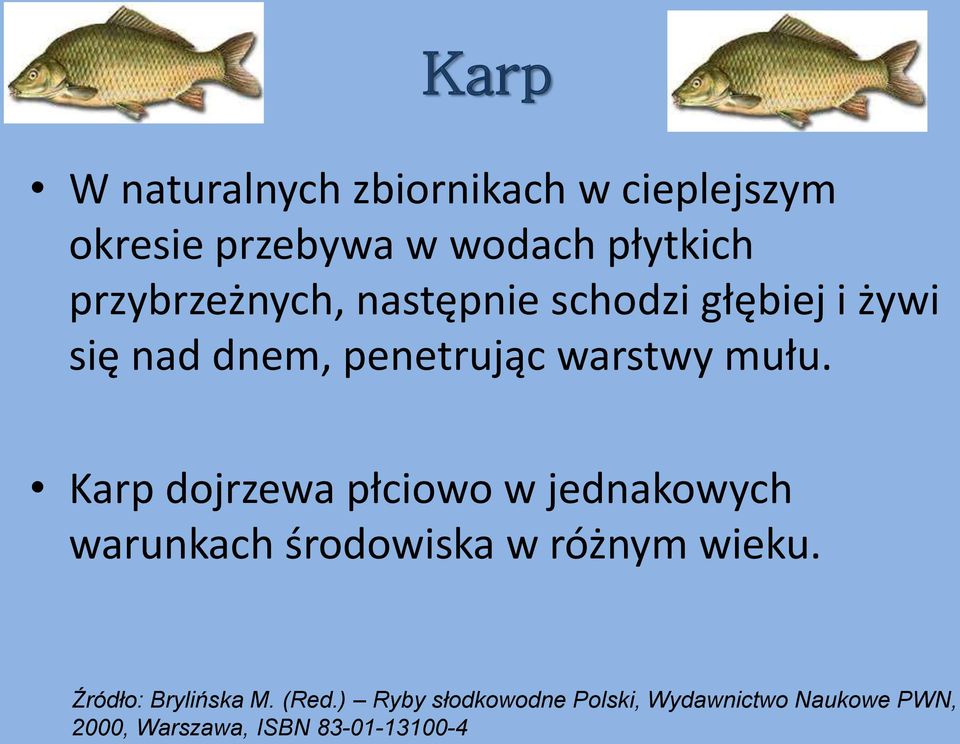 Karp dojrzewa płciowo w jednakowych warunkach środowiska w różnym wieku.