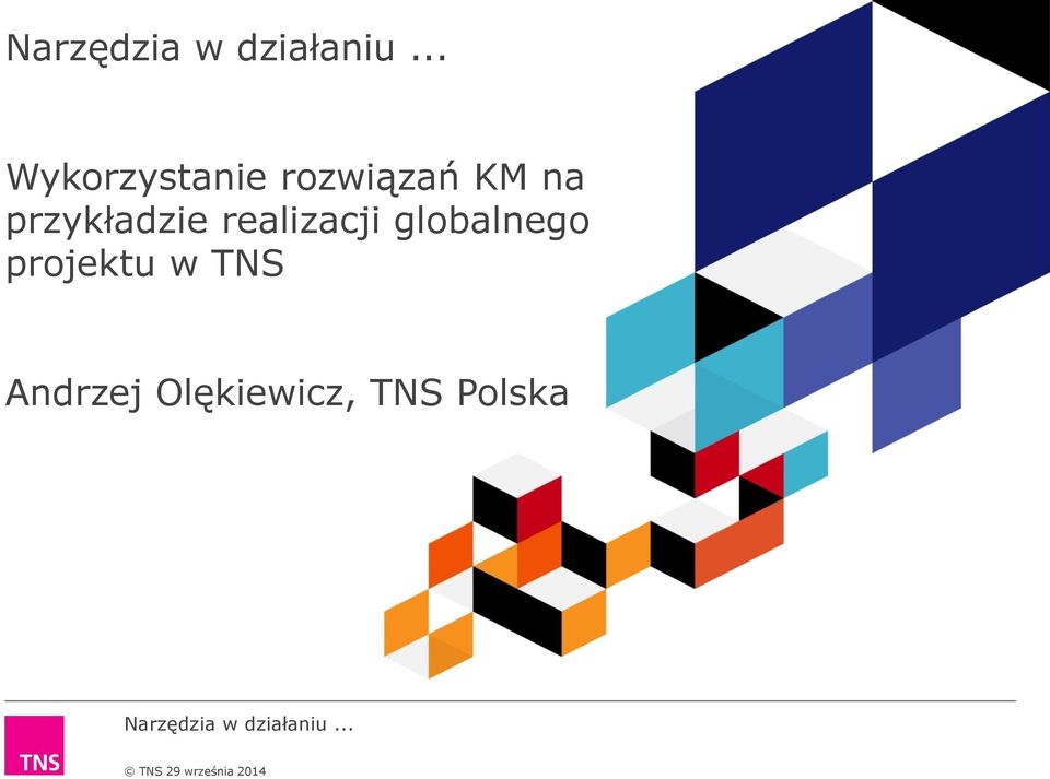 globalnego projektu w TNS