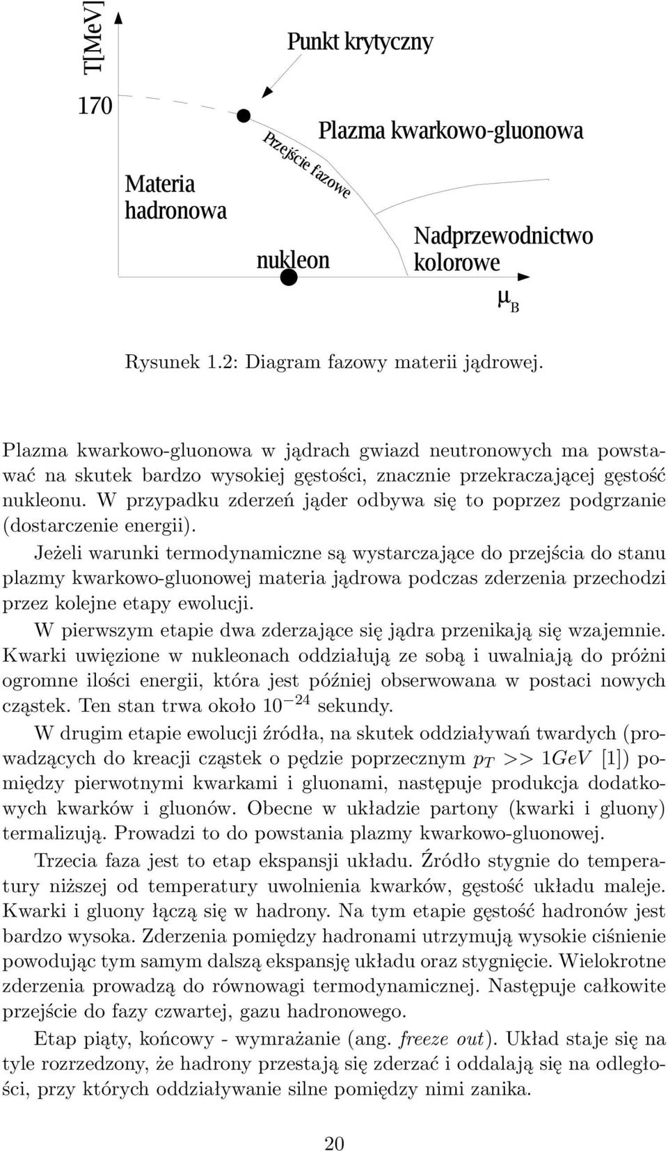 Jeżeli warunki termodynamiczne są wystarczające do przejścia do stanu plazmy kwarkowo-gluonowej materia jądrowa podczas zderzenia przechodzi przez kolejne etapy ewolucji.