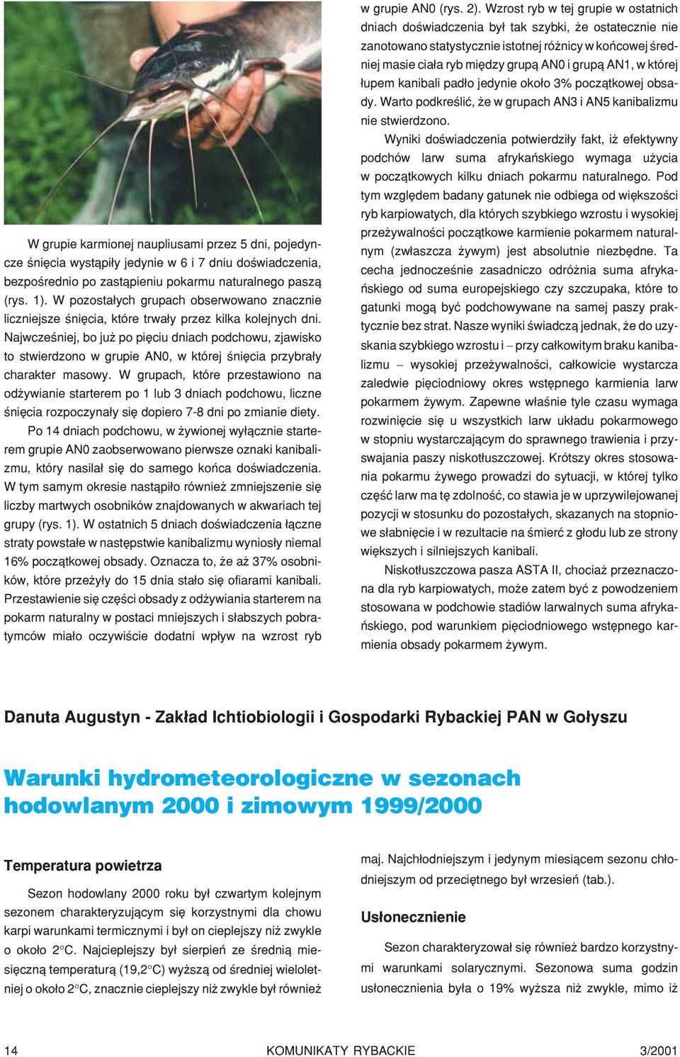 Najwczeœniej, bo ju po piêciu dniach podchowu, zjawisko to stwierdzono w grupie AN0, w której œniêcia przybra³y charakter masowy.