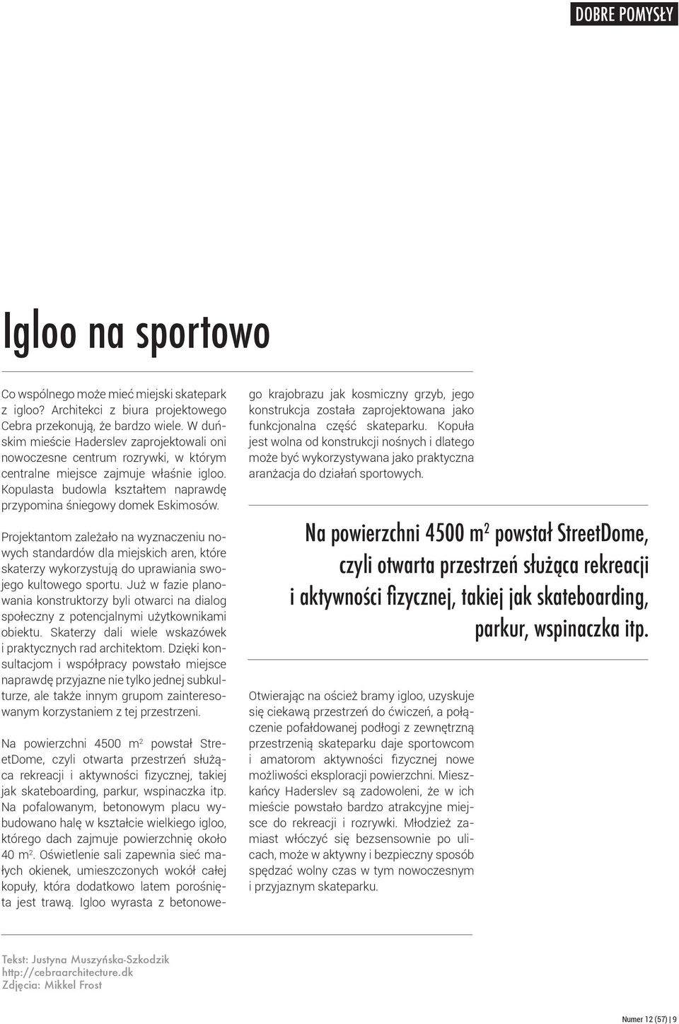 Projektantom zależało na wyznaczeniu nowych standardów dla miejskich aren, które skaterzy wykorzystują do uprawiania swojego kultowego sportu.