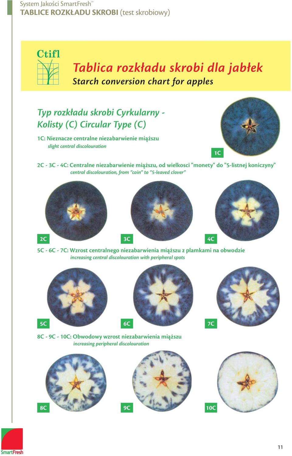 "5-listnej koniczyny" central discolouration, from coin to 5-leaved clover 1C 2C 3C 4C 5C - 6C - 7C: Wzrost centralnego niezabarwienia miąższu z plamkami na
