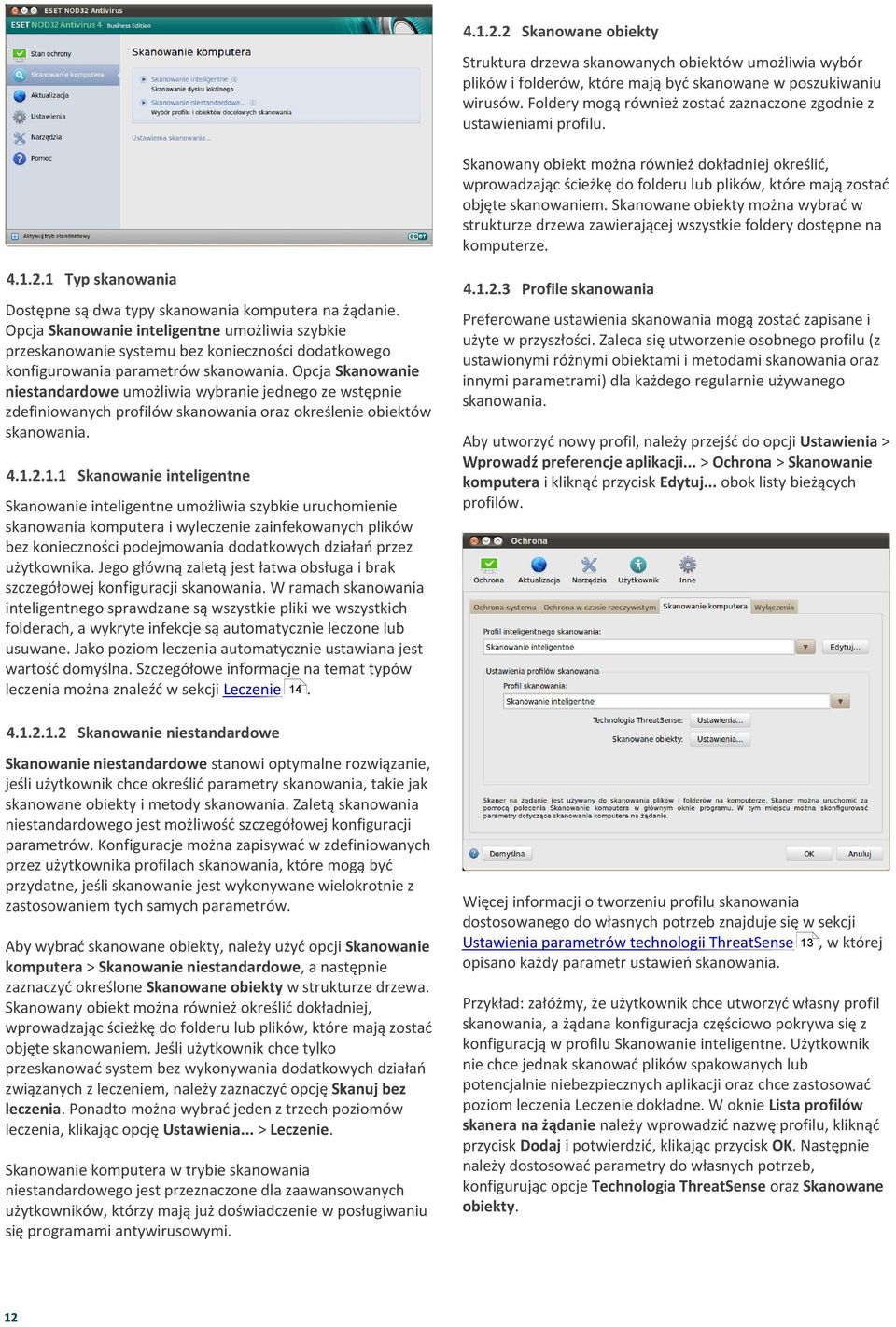 Skanowany obiekt można również dokładniej określić, wprowadzając ścieżkę do folderu lub plików, które mają zostać objęte skanowaniem.