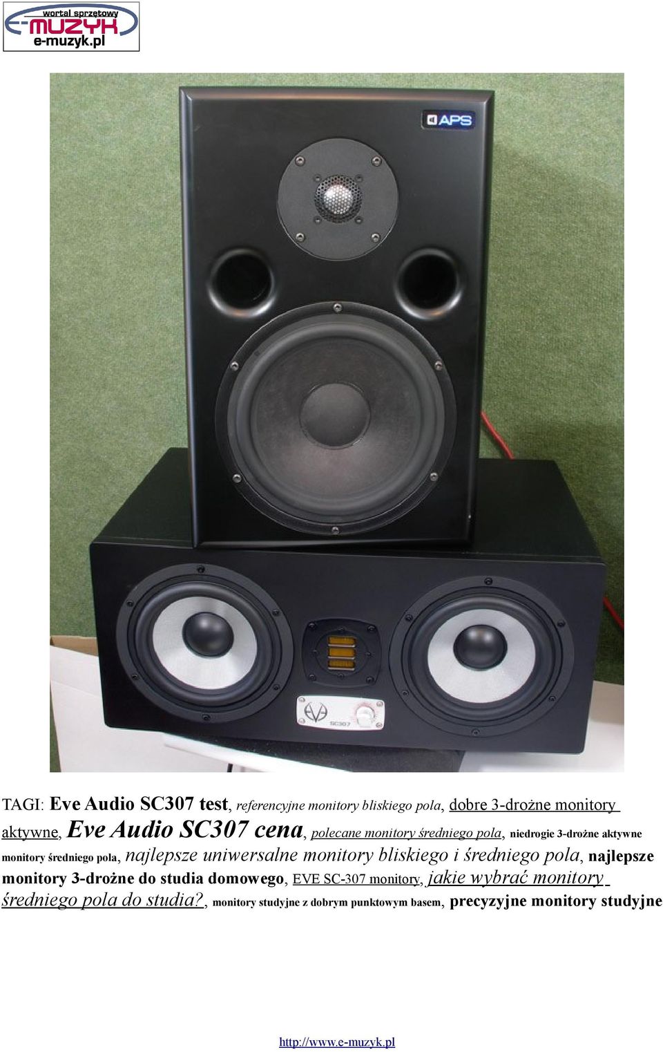 i średniego pola, najlepsze monitory 3-drożne do studia domowego, EVE SC-307 monitory, jakie wybrać monitory