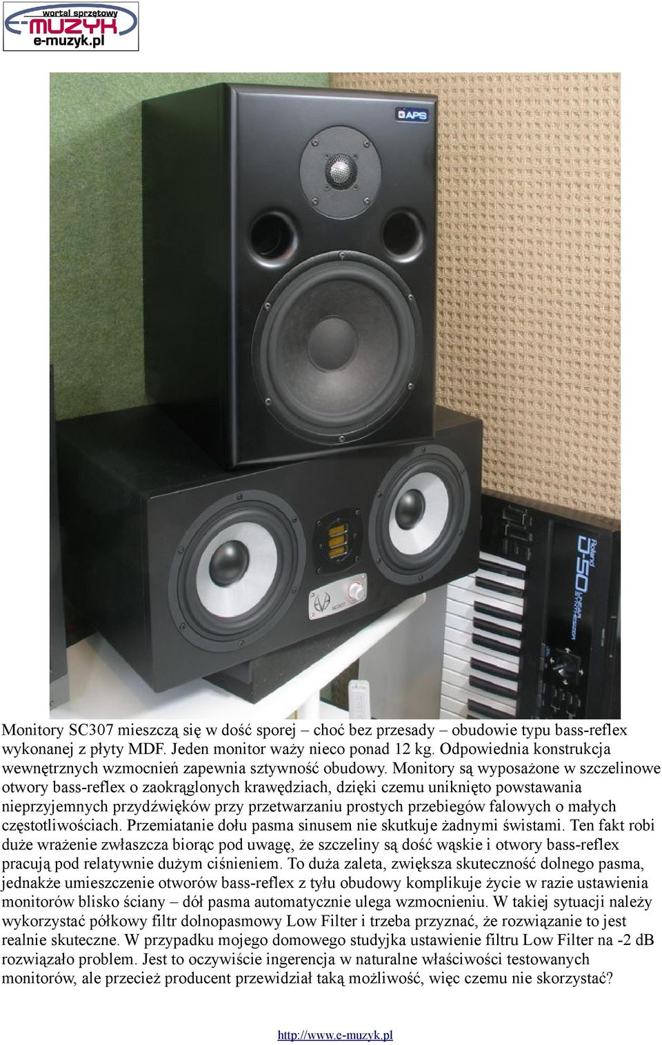 Monitory są wyposażone w szczelinowe otwory bass-reflex o zaokrąglonych krawędziach, dzięki czemu uniknięto powstawania nieprzyjemnych przydźwięków przy przetwarzaniu prostych przebiegów falowych o