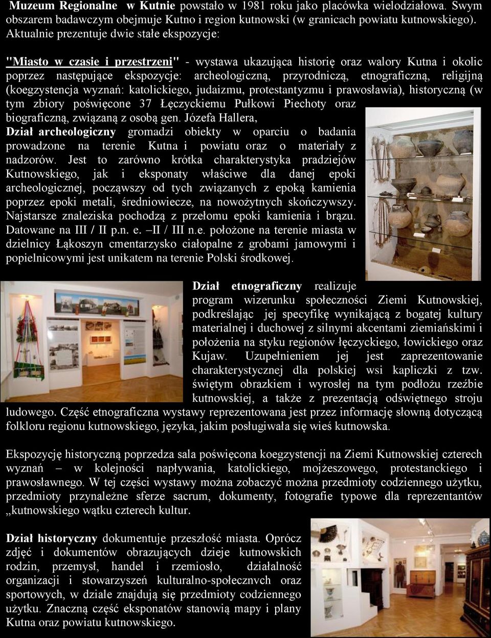 etnograficzną, religijną (koegzystencja wyznań: katolickiego, judaizmu, protestantyzmu i prawosławia), historyczną (w tym zbiory poświęcone 37 Łęczyckiemu Pułkowi Piechoty oraz biograficzną, związaną