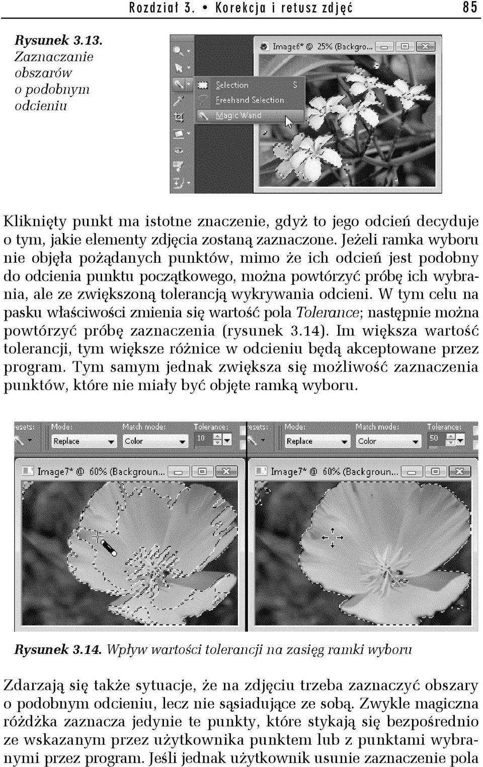 Jeżeli ramka wyboru nie objęła pożądanych punktów, mimo że ich odcień jest podobny do odcienia punktu początkowego, można powtórzyć próbę ich wybrania, ale ze zwiększoną tolerancją wykrywania odcieni.