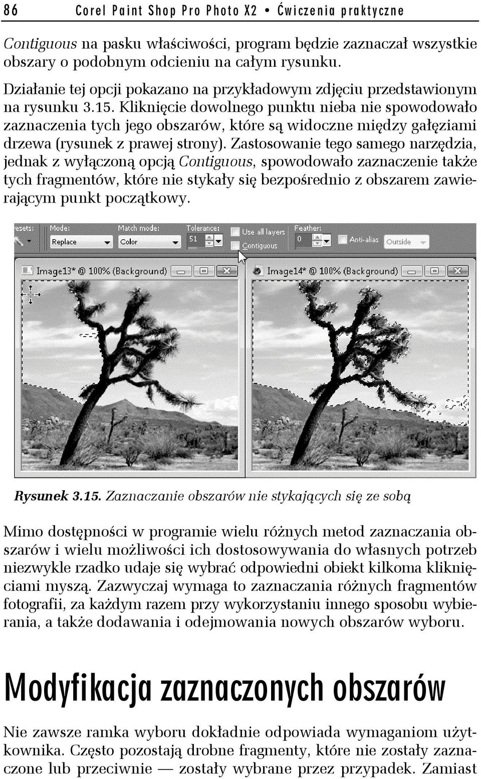 Kliknięcie dowolnego punktu nieba nie spowodowało zaznaczenia tych jego obszarów, które są widoczne między gałęziami drzewa (rysunek z prawej strony).