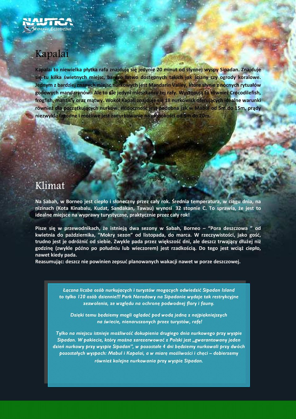 Występują tu również Crocodilefish, frogfish, mantis'y oraz mątwy. Wokół Kapali znajduje się 18 nurkowisk oferujących idealne warunki również dla początkujących nurków.