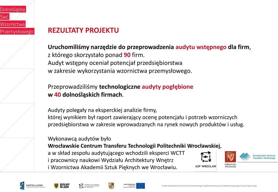 Audyty polegały na eksperckiej analizie firmy, której wynikiem był raport zawierający ocenę potencjału i potrzeb wzorniczych przedsiębiorstwa w zakresie wprowadzanych na rynek nowych